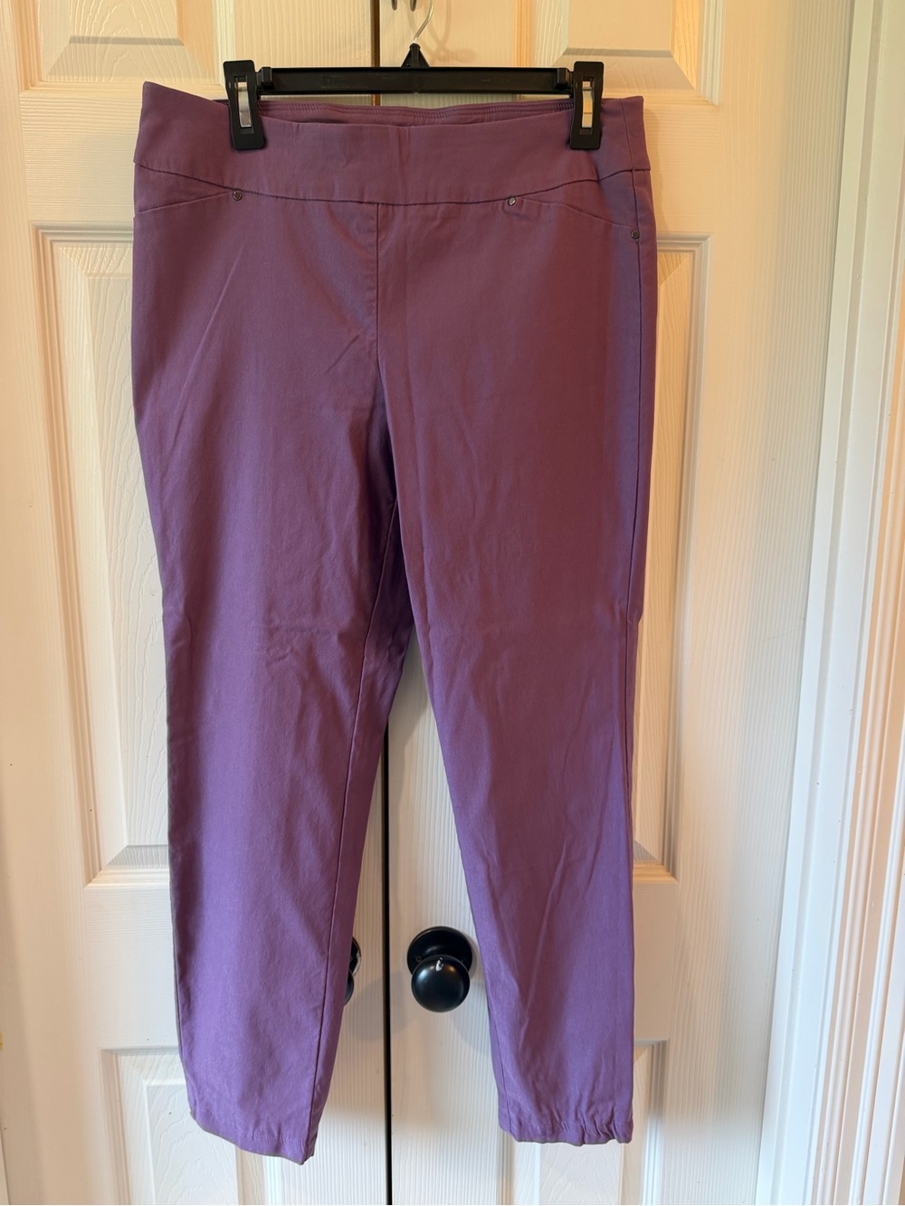 Cato Plum Stretch Ankle Pants